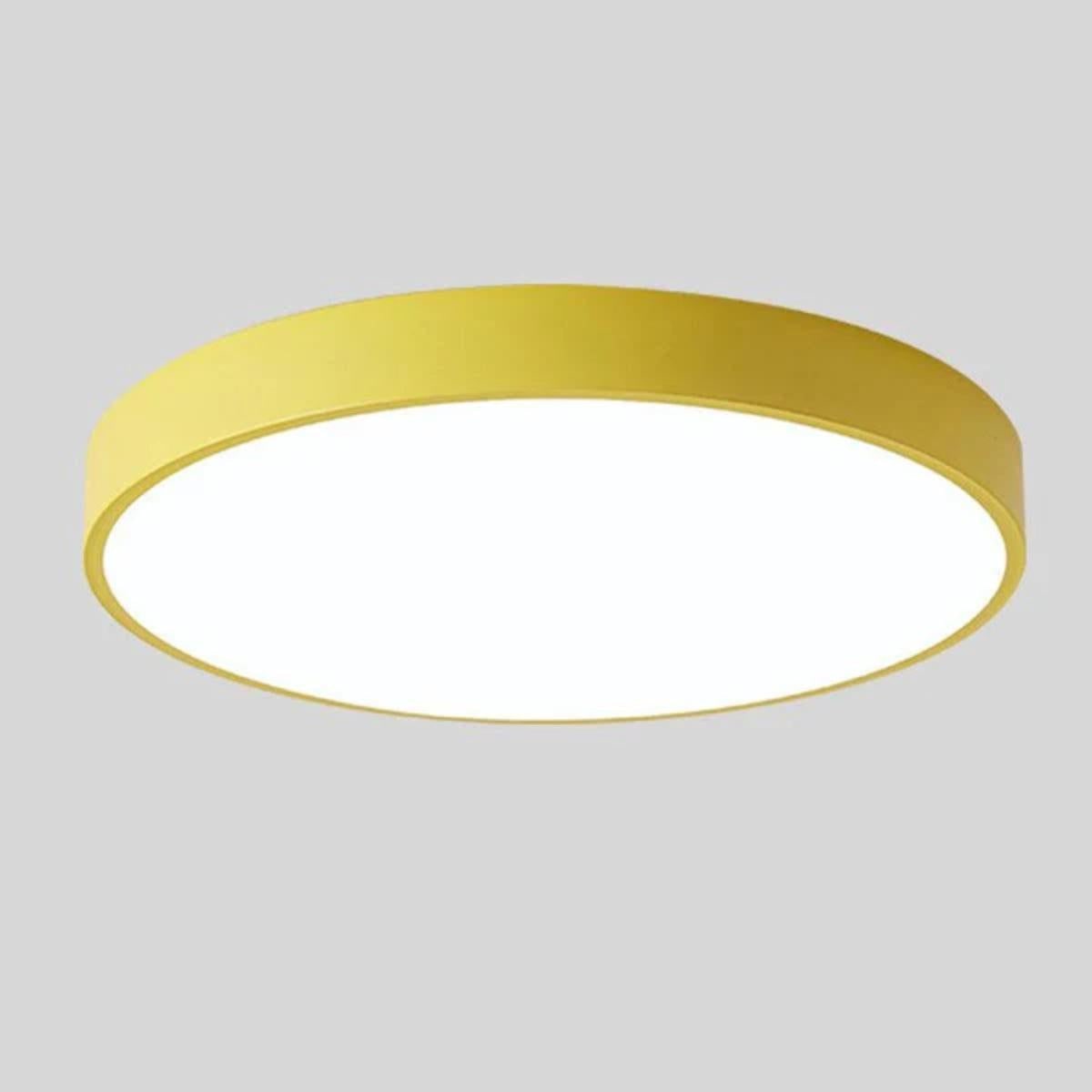 Ceiling Lighting LED Flush Mount Round Fixture Light