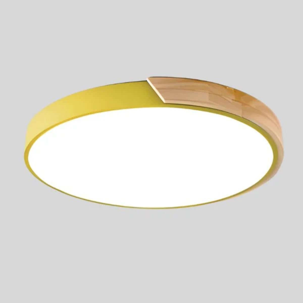 Ceiling Lighting LED Flush Mount Round Fixture Light