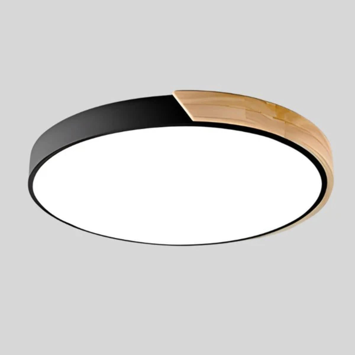 Ceiling Lighting LED Flush Mount Round Fixture Light