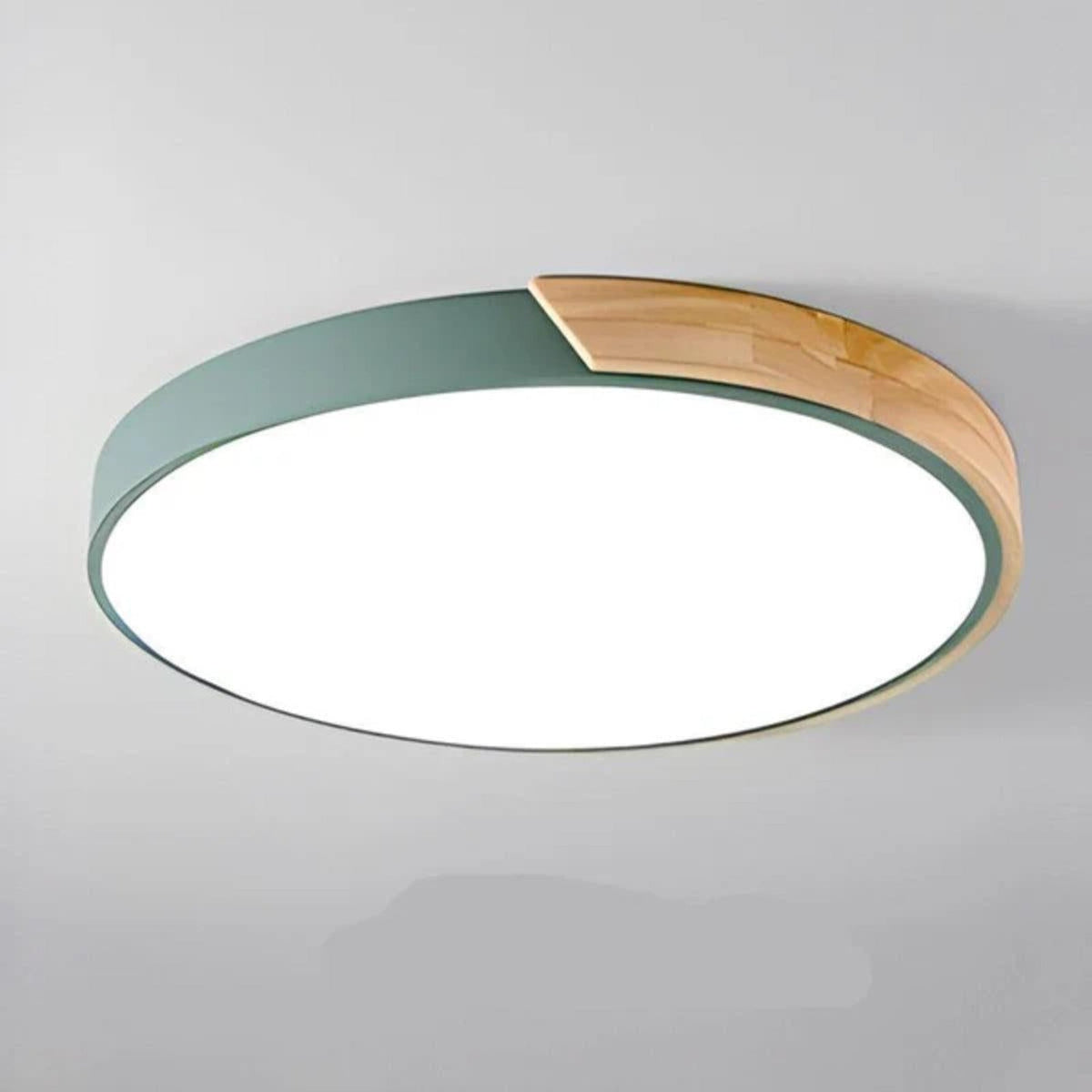 Ceiling Lighting LED Flush Mount Round Fixture Light