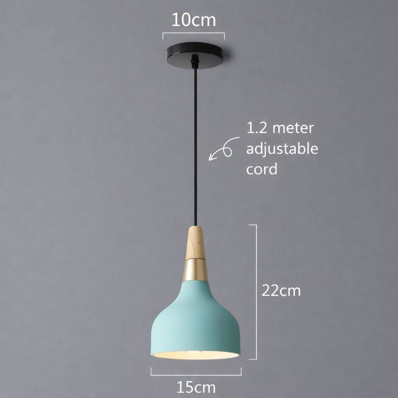 Contemporary Macaron Disc Pendant 1-Light