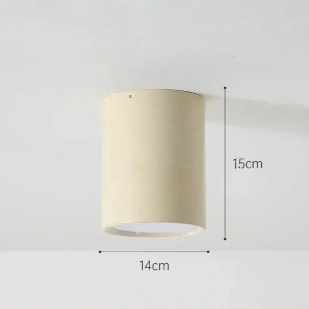Modern Iron Flush Ceiling Light 1-Light