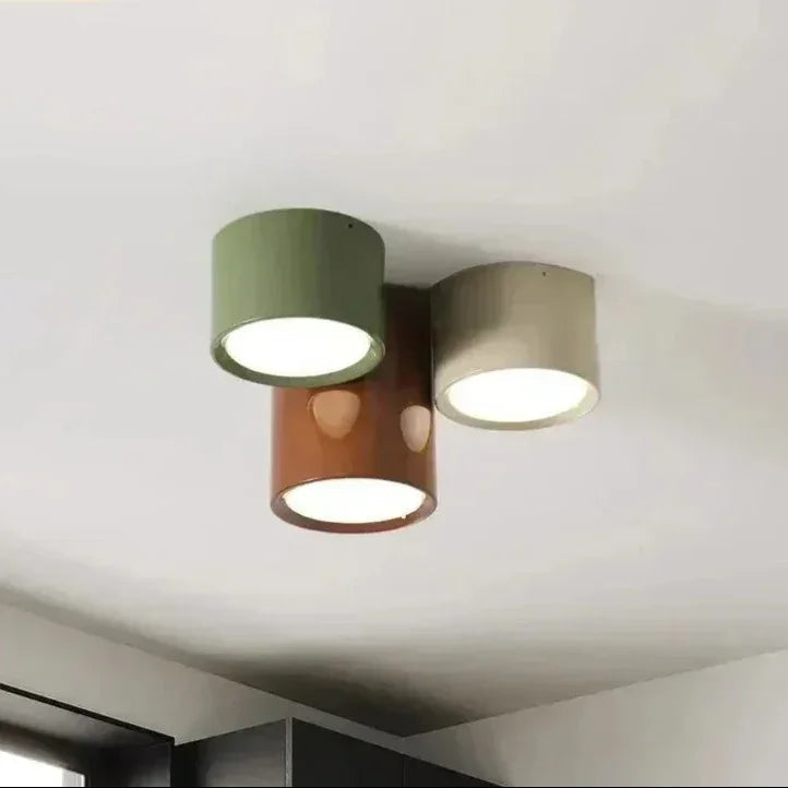 Modern Iron Flush Ceiling Light 1-Light