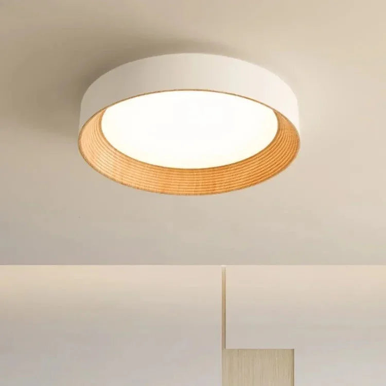 Modern Iron Flush D35cm Ceiling Light 1-Light