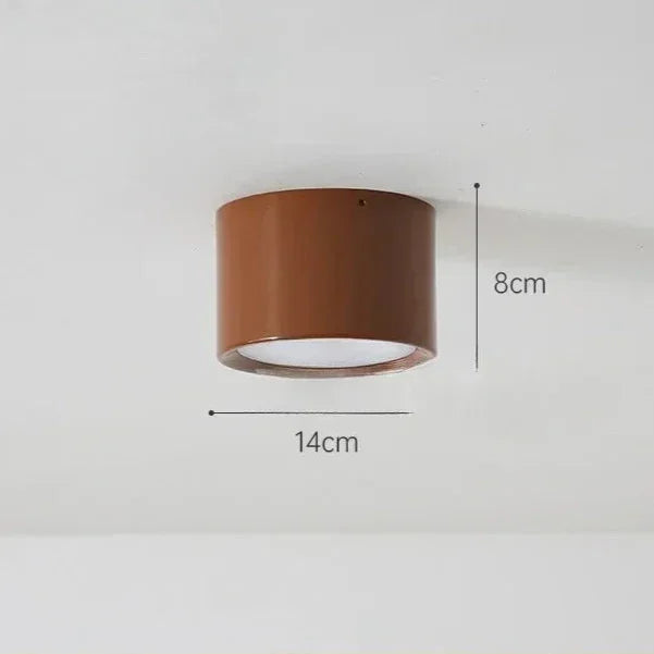 Modern Iron Flush Ceiling Light 1-Light