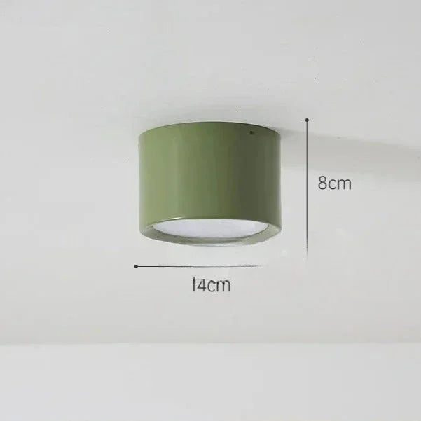 Modern Iron Flush Ceiling Light 1-Light