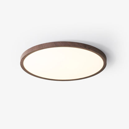 Minimalist Abs Slim Profile Ceiling Light 1-Light