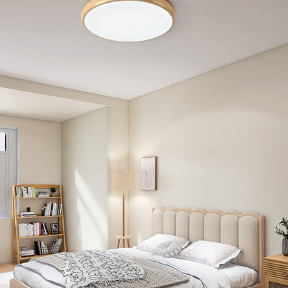 Scandinavian Iron Flush Ø30 Ceiling Light 1-Light