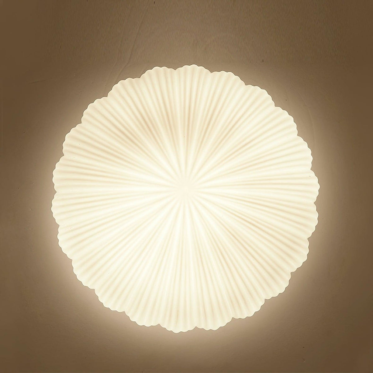 Modern Glass Flush Ceiling Light 1-Light