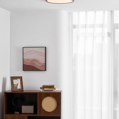 Minimalist Abs Slim Profile Ceiling Light 1-Light