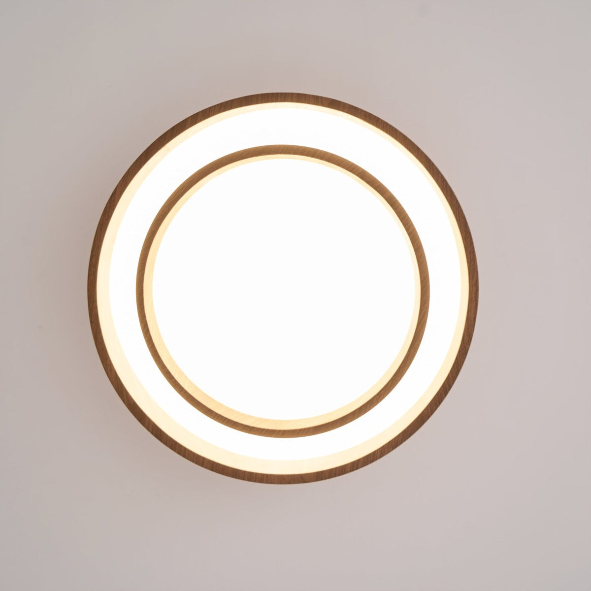 Scandinavian Iron Flush Ceiling Light 1-Light