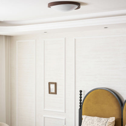 Modern Iron Tri-Colour Ø45 Ceiling Light 1-Light