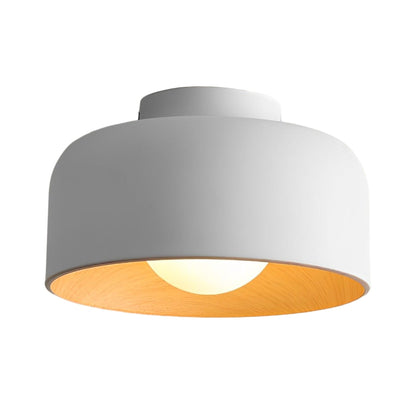 Modern Iron Semi-Flush Ceiling Light 1-Light