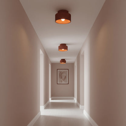 Modern Resin Semi-Flush Ceiling Light 1-Light