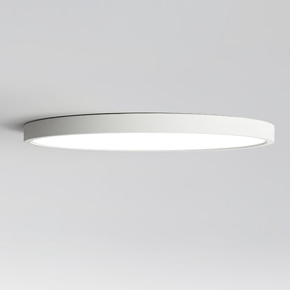 Minimalist Iron Slim Low-Profile Ceiling Light 1-Light