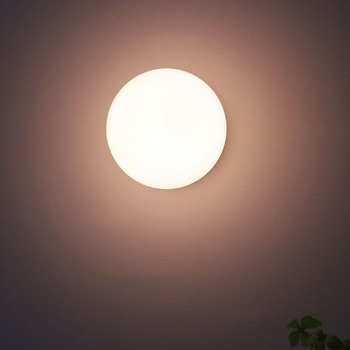 Modern Minimal Glass Globe Wall Light | 1-Light