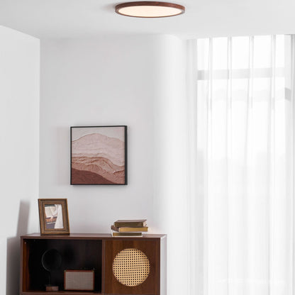 Minimalist Abs Slim Profile Ceiling Light 1-Light