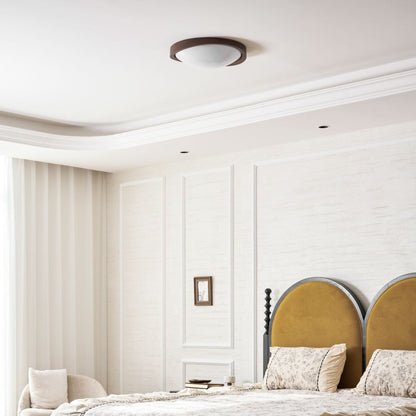 Modern Iron Tri-Colour Ø45 Ceiling Light 1-Light