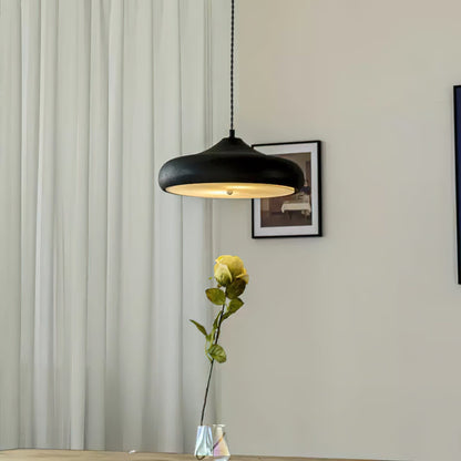 Modern Iron Pendant Light 1-Light