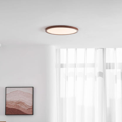 Minimalist Abs Slim Profile Ceiling Light 1-Light