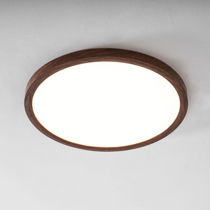 Minimalist Abs Slim Profile Ceiling Light 1-Light