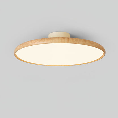Scandinavian Iron Tri-Colour Ceiling Light 1-Light