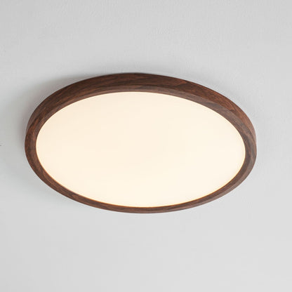 Minimalist Abs Slim Profile Ceiling Light 1-Light