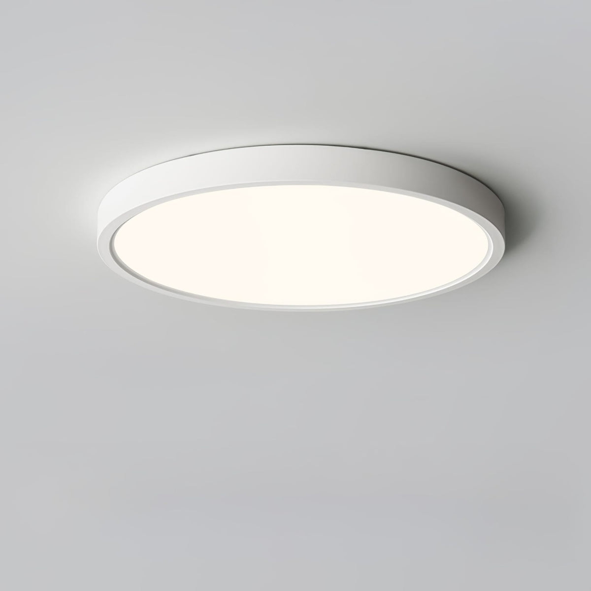 Minimalist Iron Slim Low-Profile Ceiling Light 1-Light