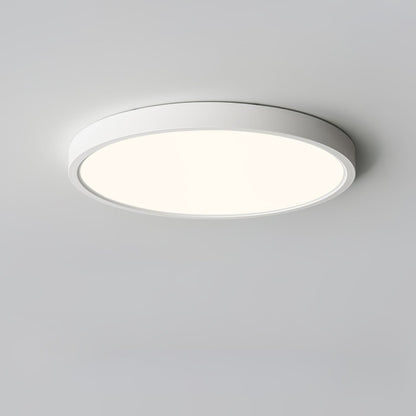 Minimalist Iron Slim Low-Profile Ceiling Light 1-Light