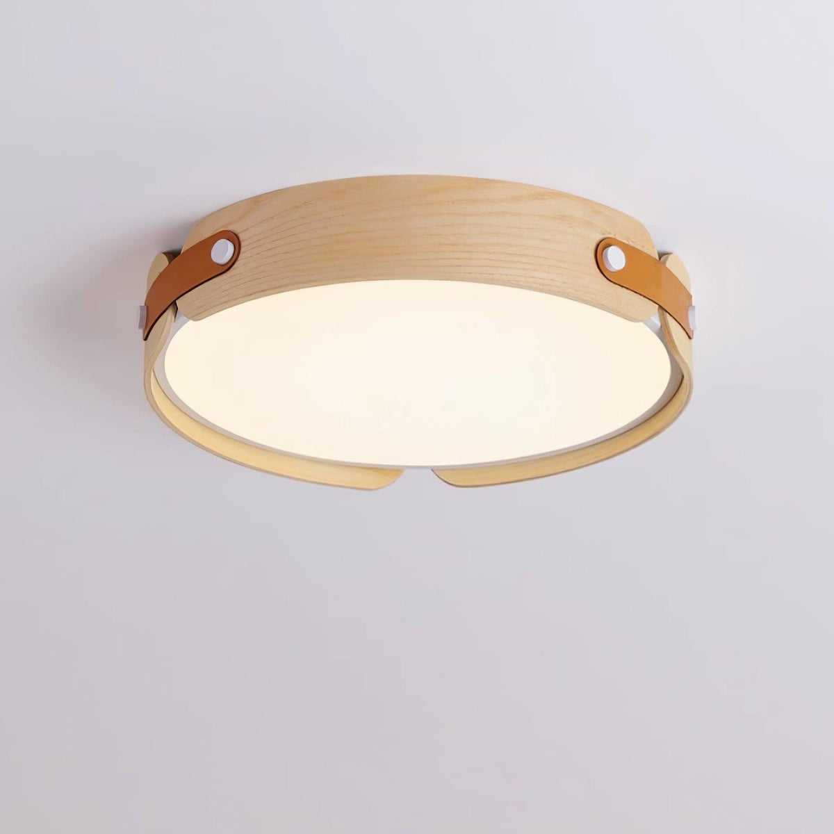 Scandinavian Iron Slim Low-Profile Ceiling Light 1-Light