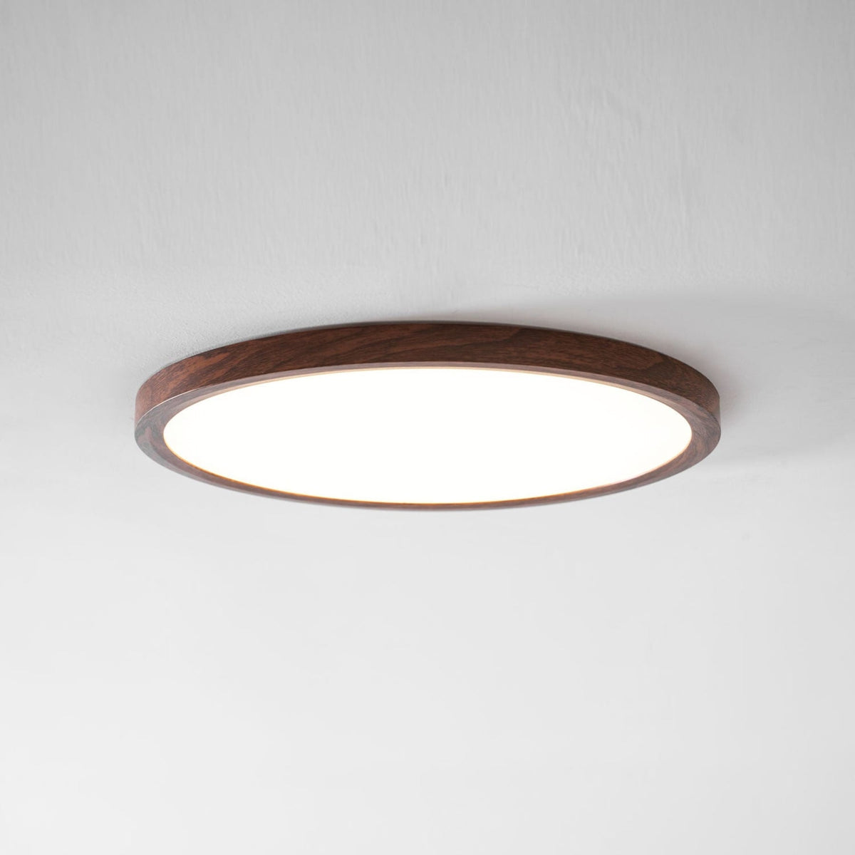 Minimalist Abs Slim Profile Ceiling Light 1-Light