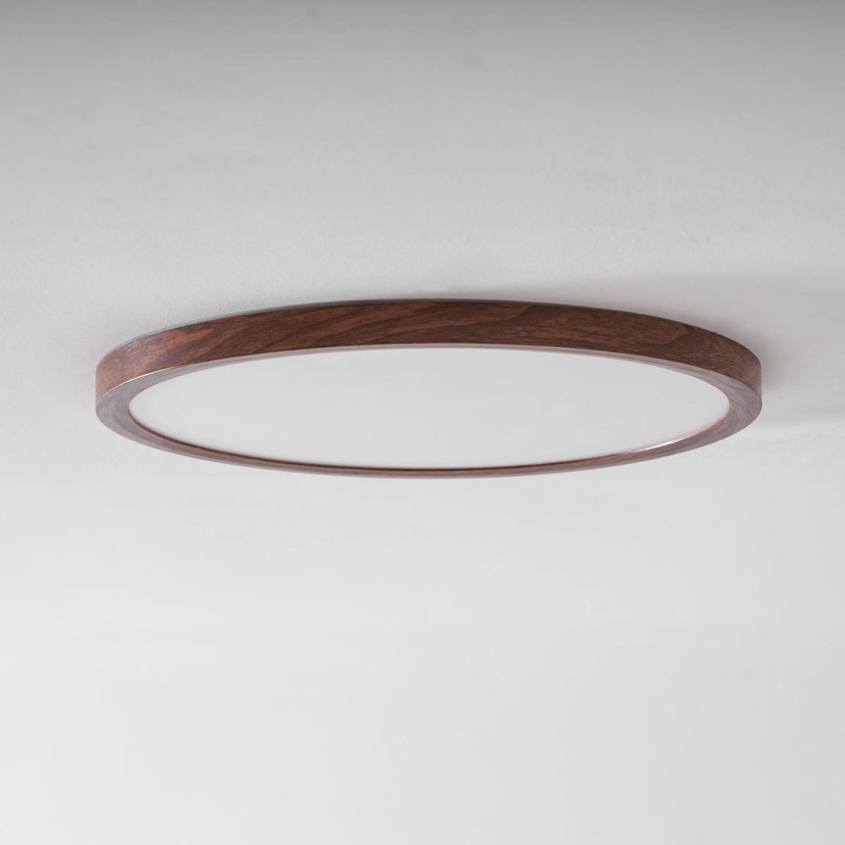 Minimalist Abs Slim Profile Ceiling Light 1-Light