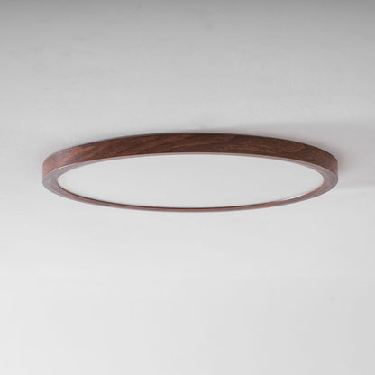 Minimalist Abs Slim Profile Ceiling Light 1-Light