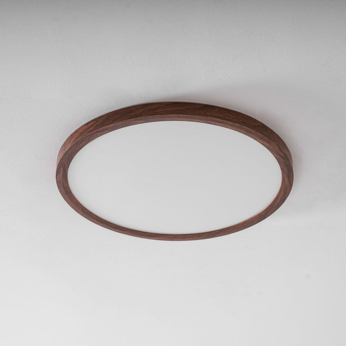 Minimalist Abs Slim Profile Ceiling Light 1-Light