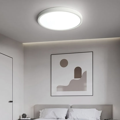 Minimalist Iron Slim Low-Profile Ceiling Light 1-Light