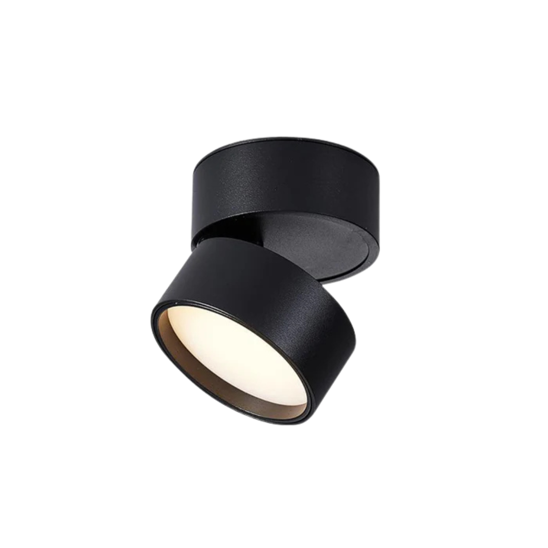 Contemporary Adjustable LED Ceiling Light 1-Light