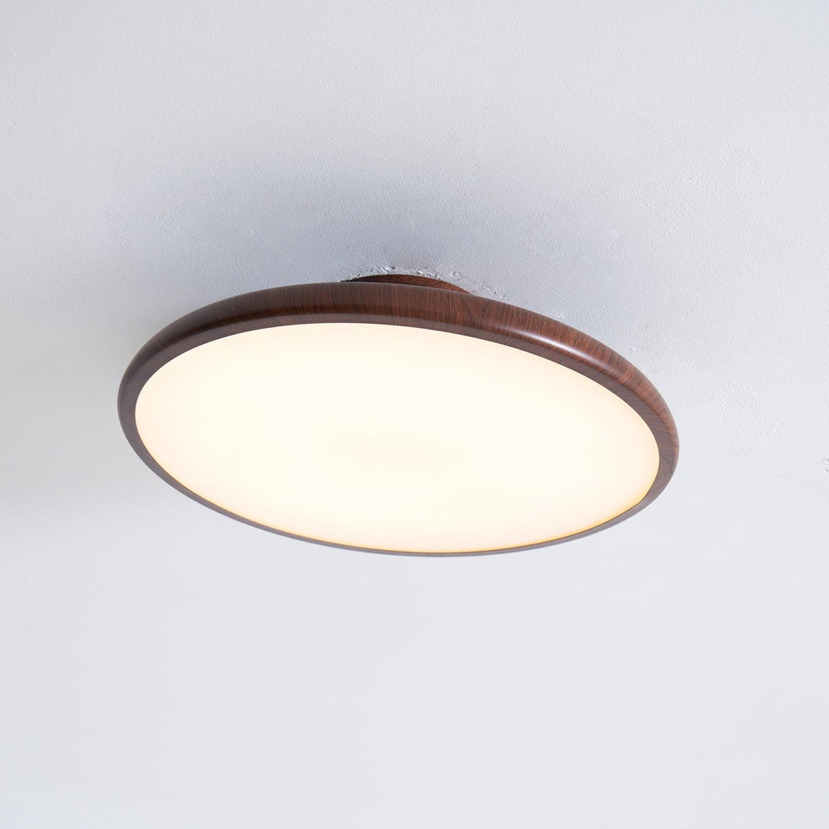 Scandinavian Iron Tri-Colour Ceiling Light 1-Light