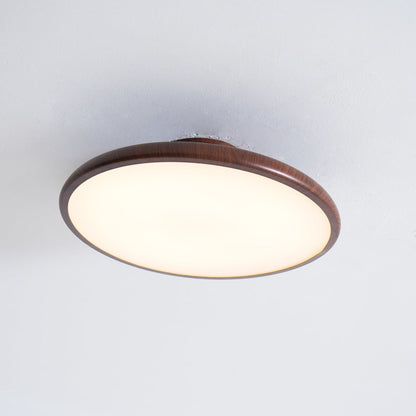 Scandinavian Iron Tri-Colour Ceiling Light 1-Light