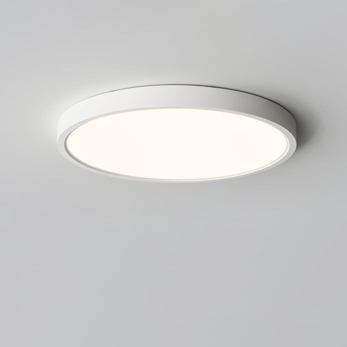 Minimalist Iron Slim Low-Profile Ceiling Light 1-Light