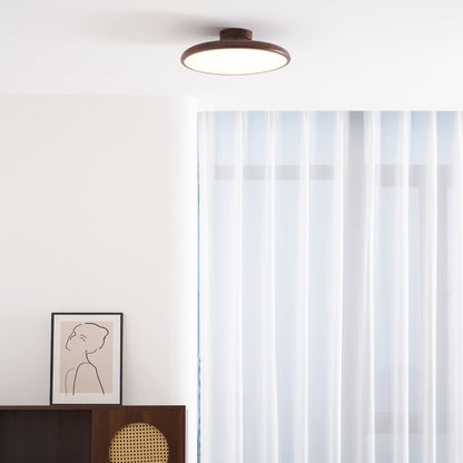 Scandinavian Iron Tri-Colour Ceiling Light 1-Light