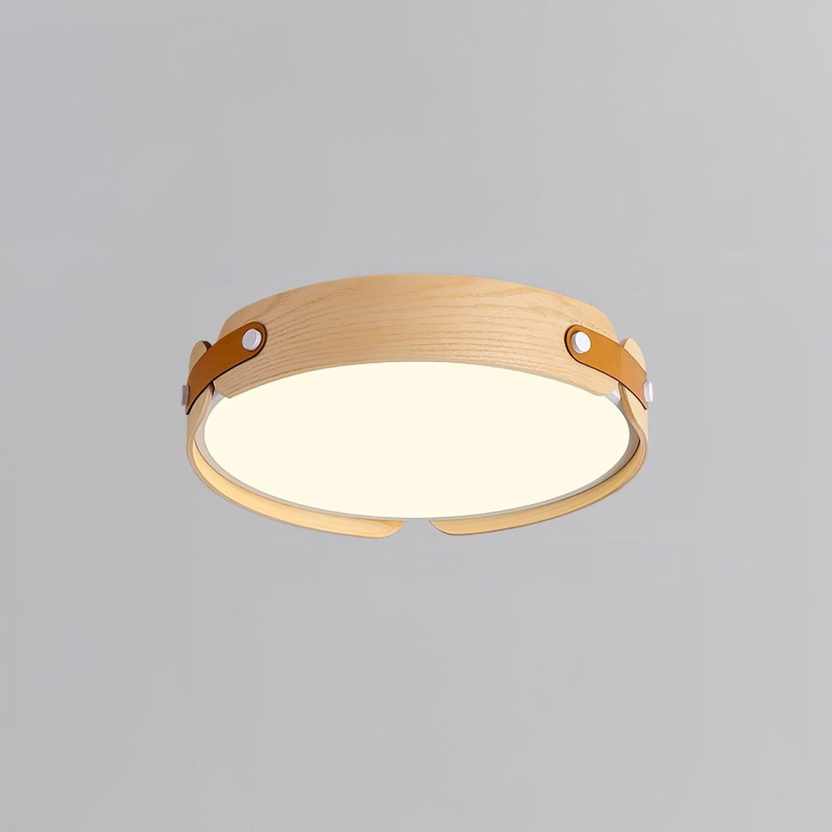 Scandinavian Iron Slim Low-Profile Ceiling Light 1-Light
