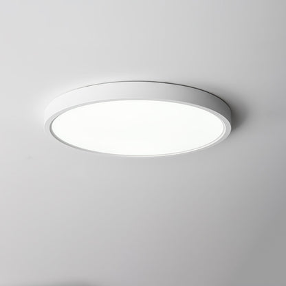 Minimalist Iron Slim Low-Profile Ceiling Light 1-Light