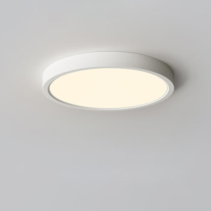 Minimalist Iron Slim Low-Profile Ceiling Light 1-Light
