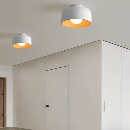Modern Iron Semi-Flush Ceiling Light 1-Light