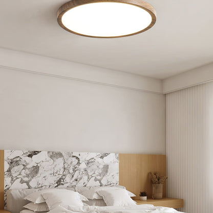 Minimalist Abs Slim Profile Ceiling Light 1-Light