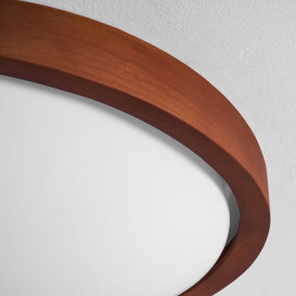 Modern Iron Tri-Colour Ø45 Ceiling Light 1-Light