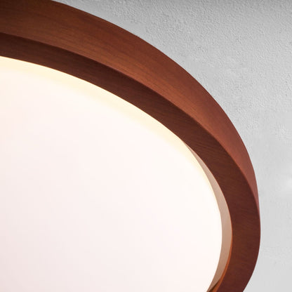 Modern Iron Tri-Colour Ø45 Ceiling Light 1-Light