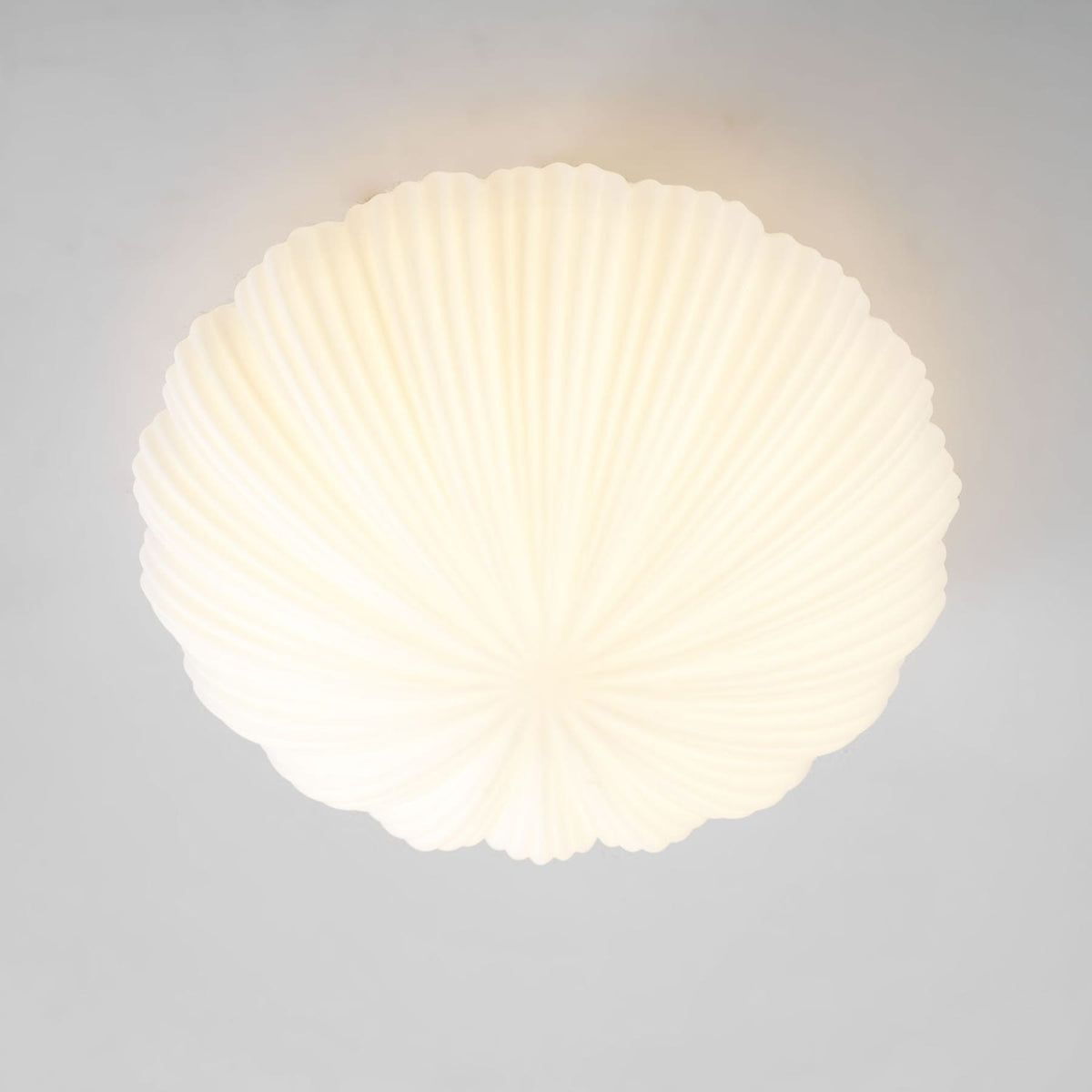 Modern Glass Flush Ceiling Light 1-Light