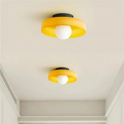 Modern Glass Disc Ceiling and Wall Light LED 1-Light