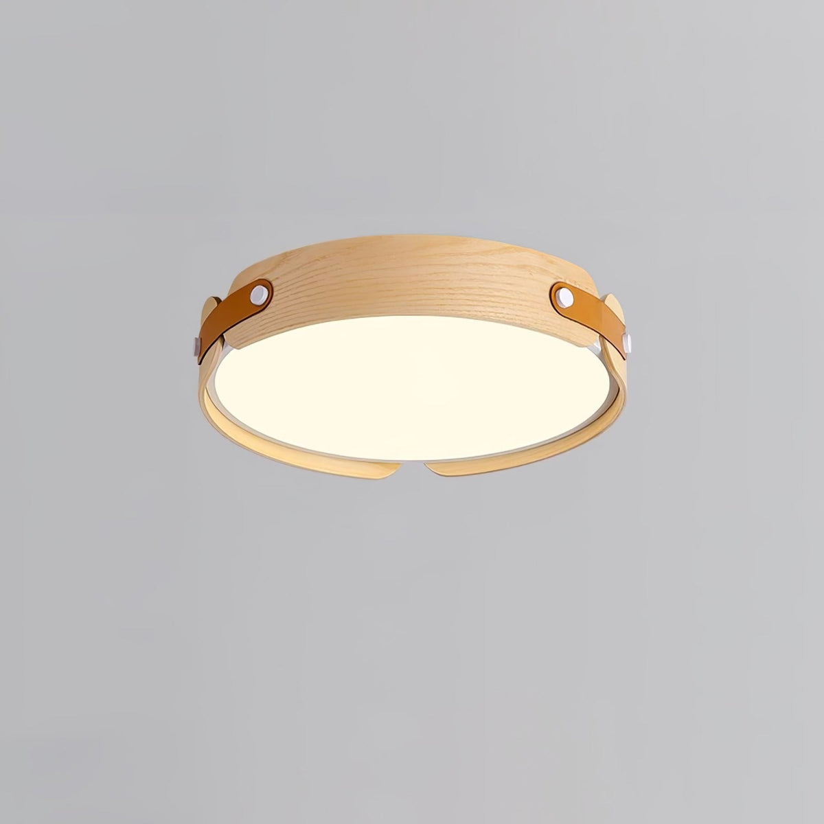 Scandinavian Iron Slim Low-Profile Ceiling Light 1-Light